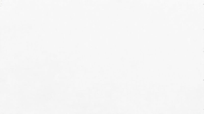 Blank Canvas or Tone-Deaf? Pantone’s White Color of the Year Sparks Debate