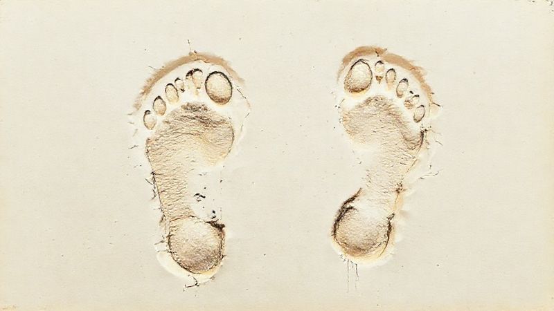 From Giant Footprints to Celestial Celebrations: A Year of Remarkable Scientific Discoveries’